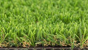 High Density Dry Green 25mm