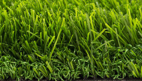 High Density Green 25mm