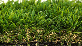 High Density Dry Green 40mm